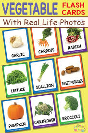 Vegetable Flashcards With Real Life Photos Preschool Food