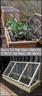 build a city proof garden to protect