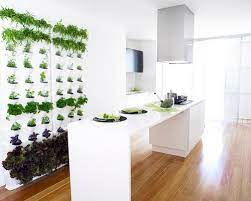 why indoor vertical gardens are good