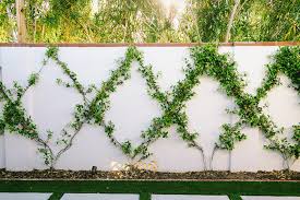 diamond patterned trellis vine wall