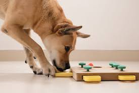 the 8 best dog puzzle toys of 2023