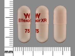 Effexor Xr Dosage Guide Drugs Com