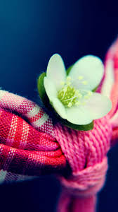 White Flower Macro Pink Scarf Android ...