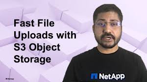 using netapp storagegrid