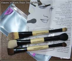 essense of beauty duluxe brush set