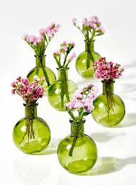 Bud Vases Whole Vases