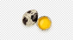 quail eggs common quail nutrition egg