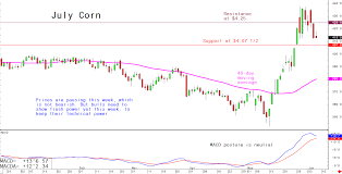 Daily Technical Spotlight July Corn Rosenthal Collins Group