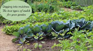Types Of Landscape Mulch For Your Garden
