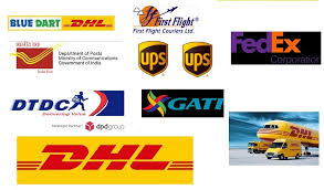 top 12 courier service provider in india