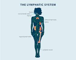 lymphedema guide what is lymphedema