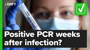 covid 19 pcr tests can be positive for