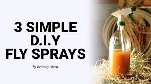 3 simple d i y fly spray recipes