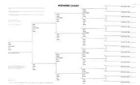 6 Generation Pedigree Chart Printable Family Tree Template