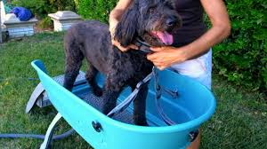 Lay a towel on the ground and. 7 Must See Diy Outdoor Dog Bath Station Ideas Dogvills