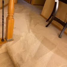 top 10 best carpet cleaning in pueblo
