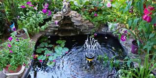 5 Best Pond Fountains For Aerating The