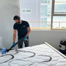 cleaning in new south wales