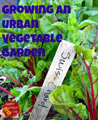 Growing An Urban Vegetable Garden