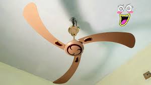 variety tradition looking ceiling fan