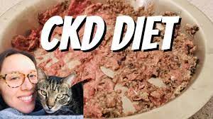 yes ckd cats can eat raw complete