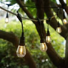 Edison Bulb Led String Light