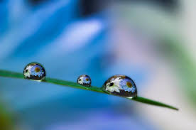 These are the most beautiful images of nature on pexels. Excellent Water Drop Photography We Need Fun