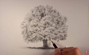 Download and use it for your personal or . How To Draw A Tree 10 Amazing And Easy Tutorials