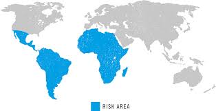 yellow fever map ile ilgili görsel sonucu