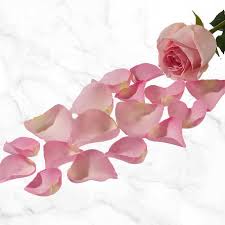 If you're wanting to get flowers for someone special, many people don't realize that costco is one of the most affordable places around to find flower bouquets and arrangements. Rose Petals Costco