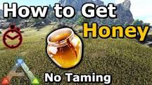 What do you do with giant bees honey in Ark?