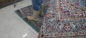 remove pet stains from my oriental rug