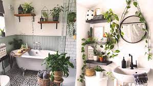 5 Ways To Arrange Plants In A Bathroom