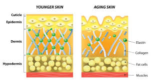 side effects benefits of collagen