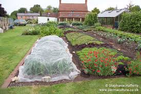 Crop Protection Permaculture