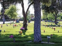 mountain view funeral home and cemetery