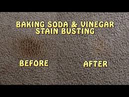 baking soda vinegar carpet stain