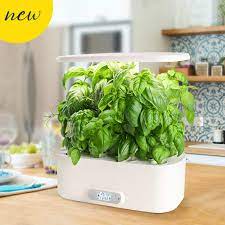diy hydroponics for vegetables herbs