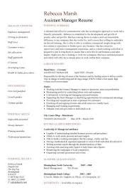 Sample Resume For Assistant Manager Accounting Manager Resume It Manager  Resume Examples Quality Assurance Manager Resume