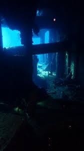 picture of ocean college dive centre