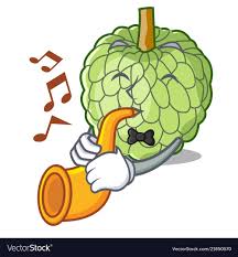 Download high quality custard apple stock illustrations from our collection of 65,000,000 stock illustrations. Cool Outline Custard Apple Drawing The Campbells Possibilities