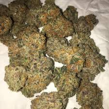 But what's more, gorilla glue 4 marijuana plants you can picture this much like simply weaving the branches all across the screen. Gorilla Glue Gorilla Glue Strain Gorilla Glue Weed 8