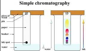 Pendidikan Manfaat Dan Kegunaan Kromatografi Pendidikan