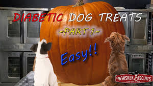 easy diy diabetic pumpkin dog treats