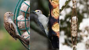 how to make fat for birds easy