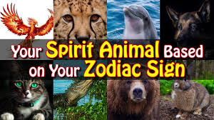 There's a difference between saving money and being stingy. Your Spirit Animal Based On Your Zodiac Sign Aries Leo Virgo Libra Aquarius Cat Dog Pet Co Youtube