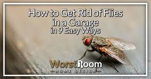 How To Get Rid Of Flies In A Garage In