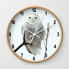 Snowy In The Wind Snowy Owl Wall Clock