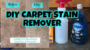 carpet cleaner stain remover that