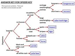 Dichotomous Key Create A Dichotomous Key Activity Editable